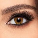 Freshlook Pure Hazel Contact Lenses - Colorblends - Buy online in pakistan